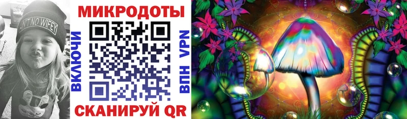 Псилоцибиновые грибы Psilocybine cubensis  KRAKEN ТОР  Кашира 
